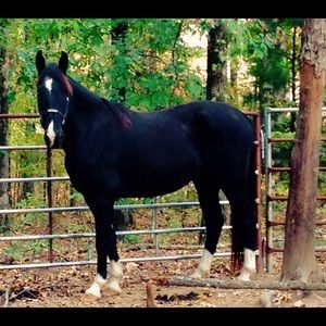 Meet your Posher, Jamie